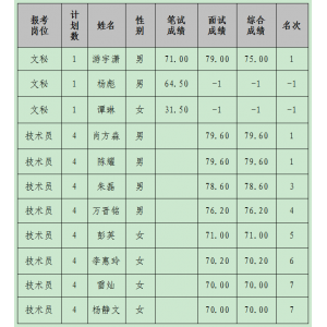 公开招聘工作人员综合成绩及排名公告